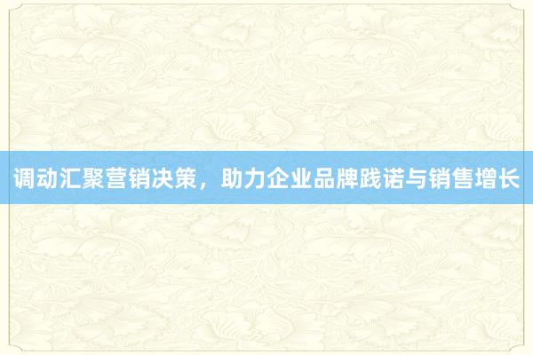 调动汇聚营销决策，助力企业品牌践诺与销售增长