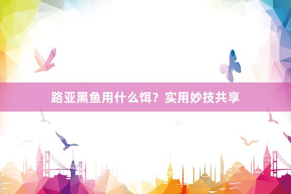 路亚黑鱼用什么饵？实用妙技共享
